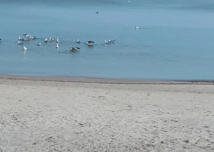 Baltic-house 4* Gąski